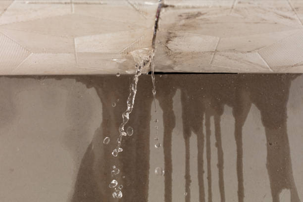 Professional Water Damage Repair technician working in South Sutton, NH